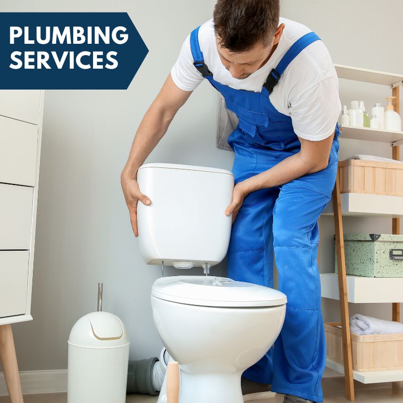 Plumbing Company in Niantic, IL